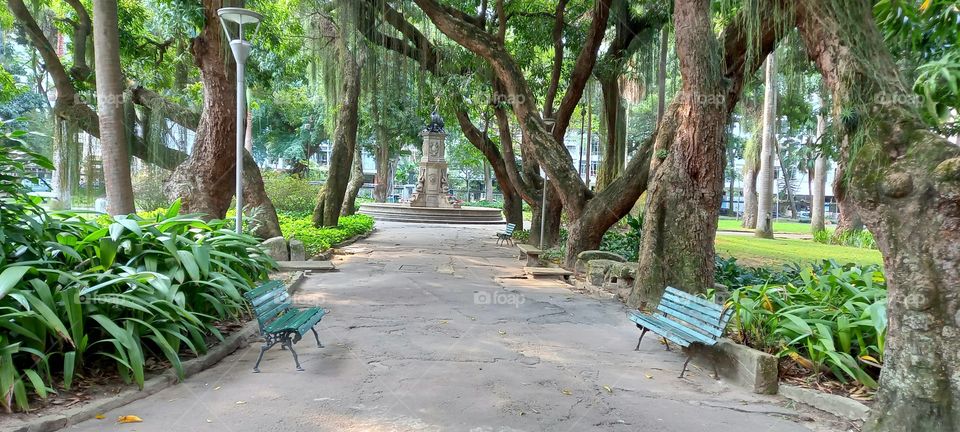 Dois bancos  em uma tarde de paz