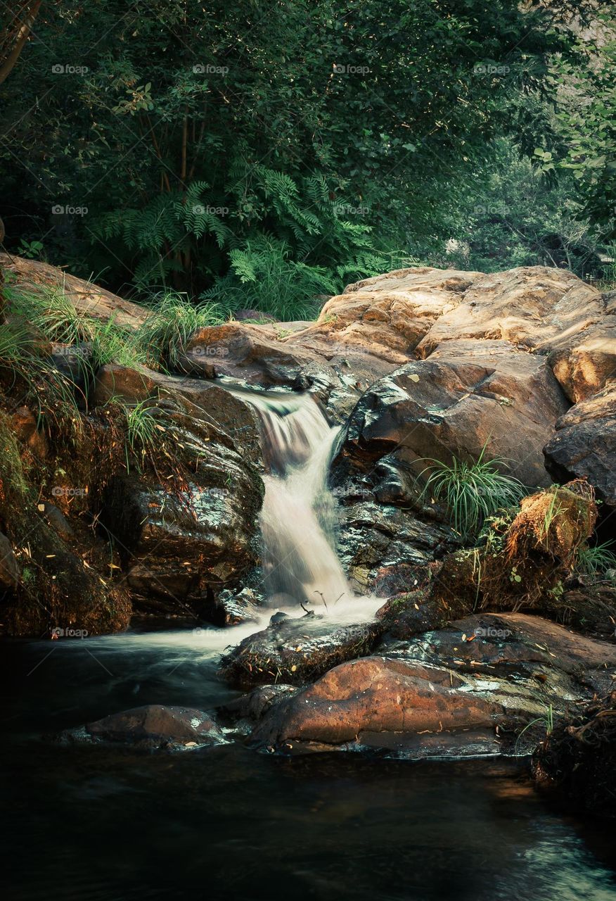 Cascades hidden away in a forest stream at Cascata do Penedo Furado, Vila de Rei, Portugal