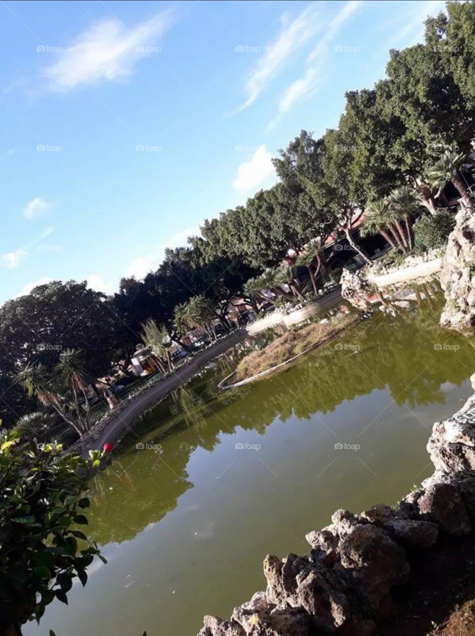 garden