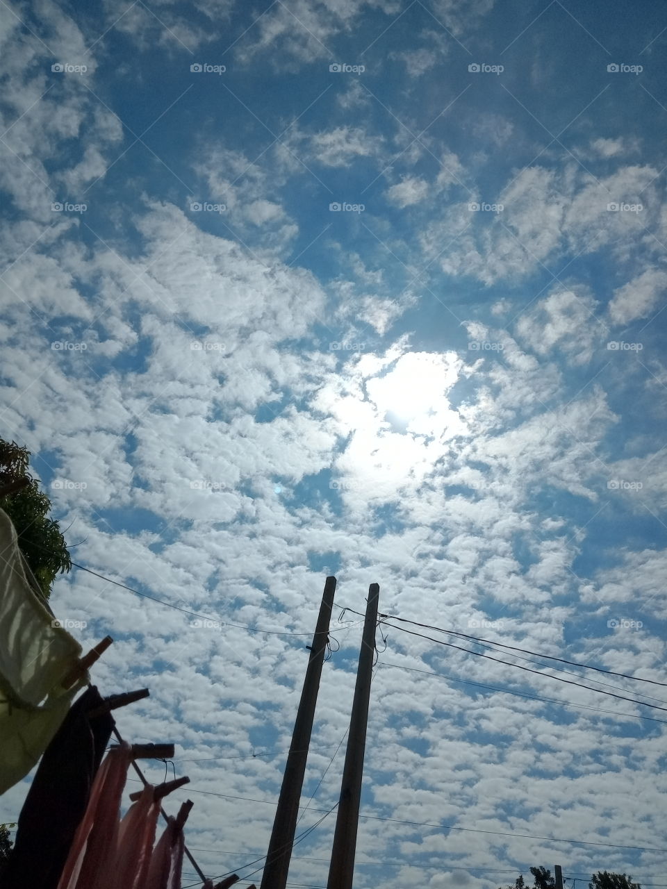 O Sol no cair da tarde. Lindo!