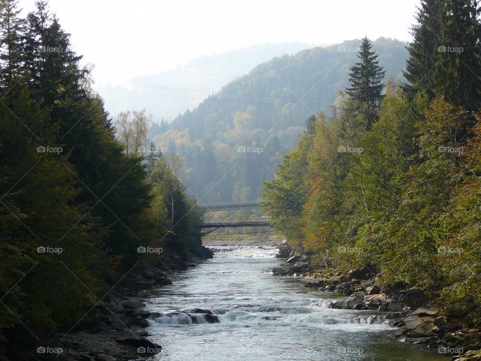Carpathian Mountain stream. Visited the Carpathian Mountains while away on mission work