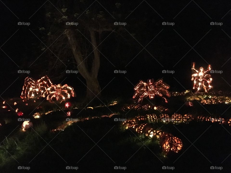 The Great Jack O’Lantern Blaze