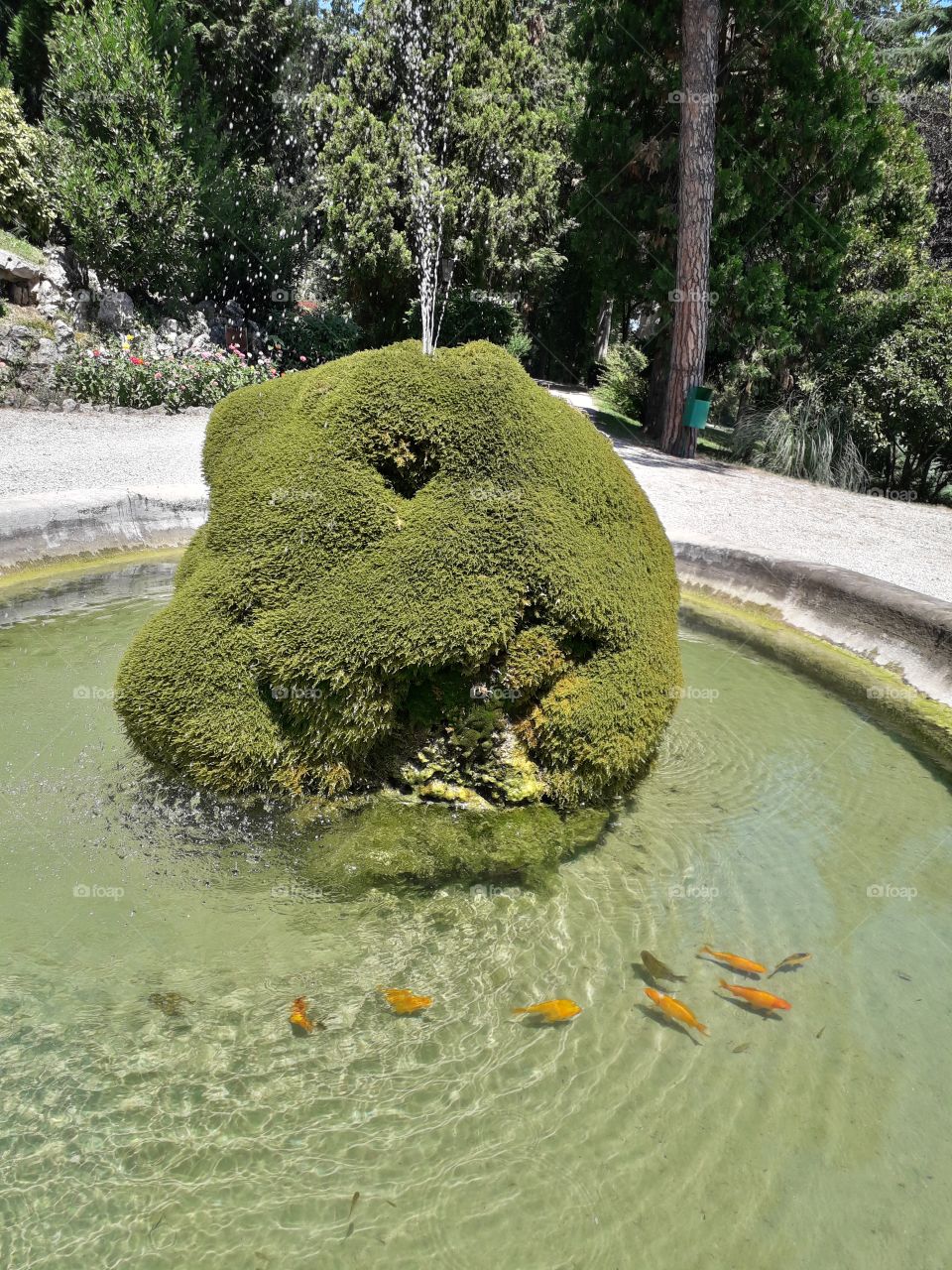 fountain at the park
