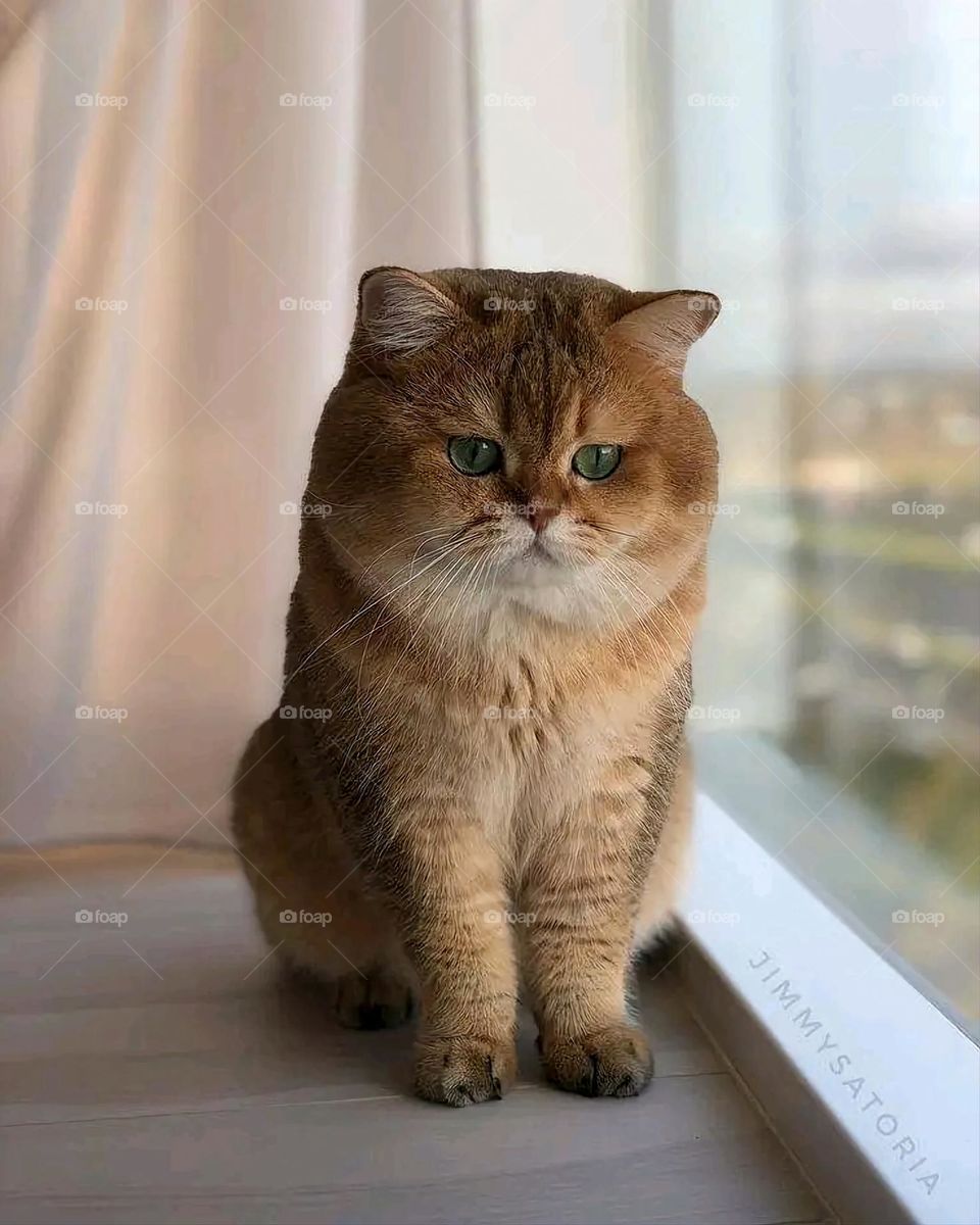 A very beautiful picture, and there is no better picture than it. There is no better picture of green herbs and colorful, red and white roses than it. Glory be to God, the natural and picturesque view, and there is no more