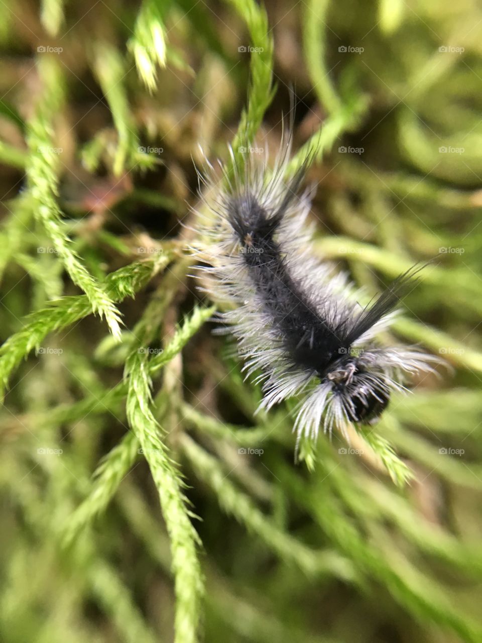 Closer than it looks.