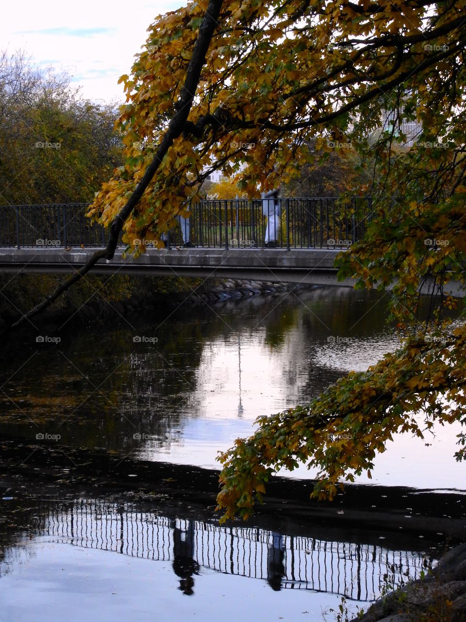 Reflections from a bridge 