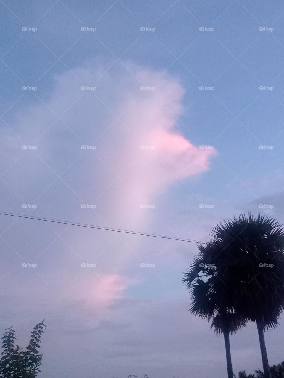 ravarma puppy clouds