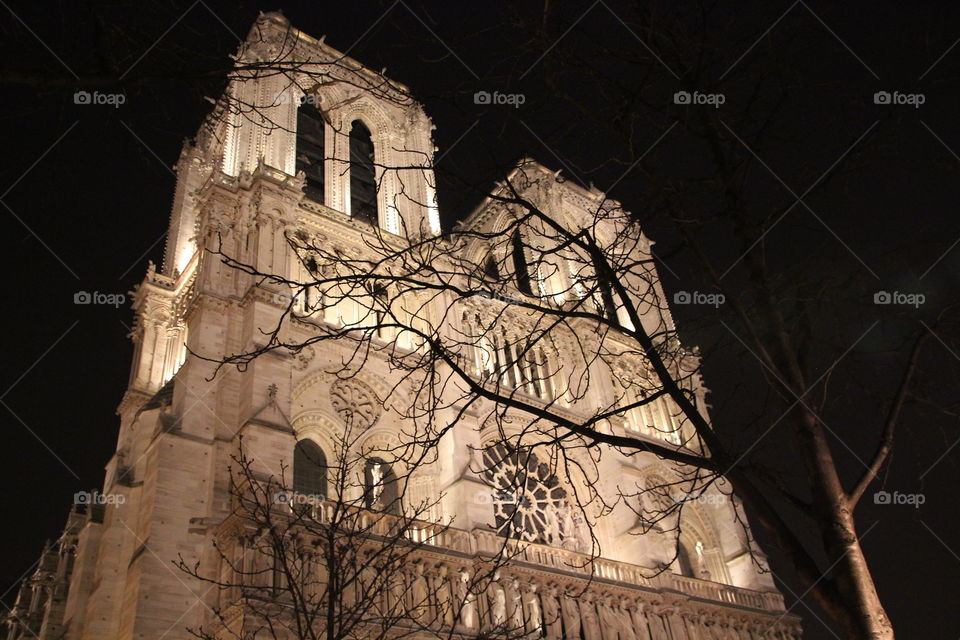 Notre dame