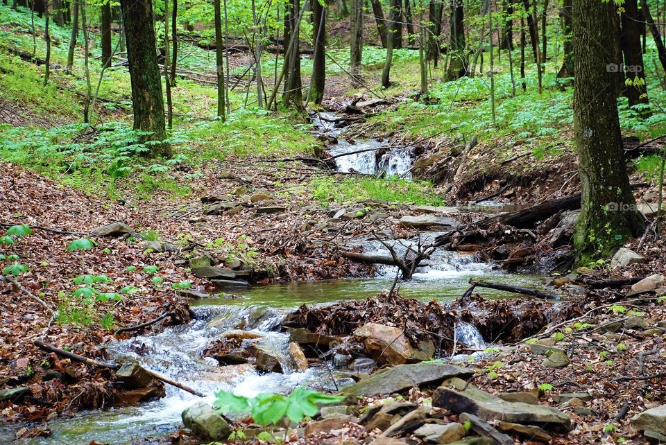 Mountain stream