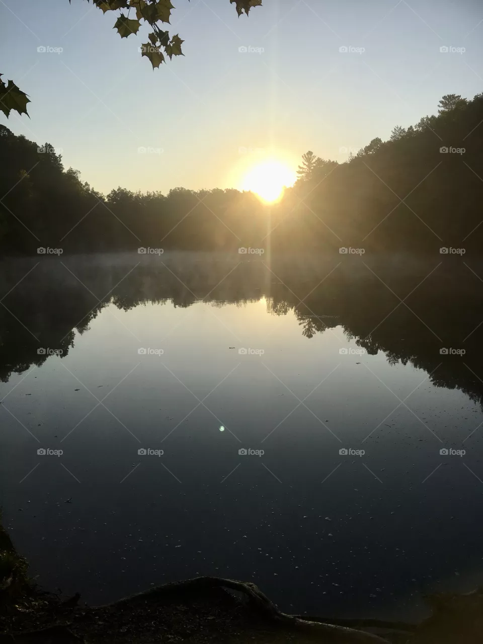 Serenity