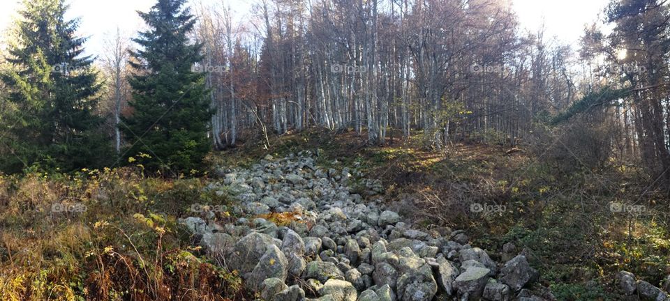 Autumn panorama