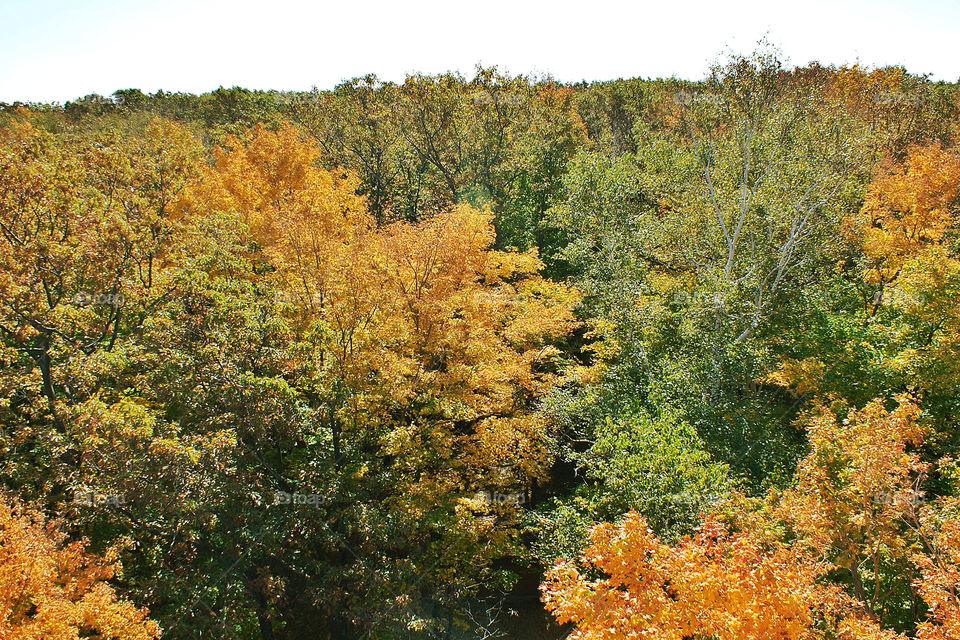 landscape sky green field by somebeach