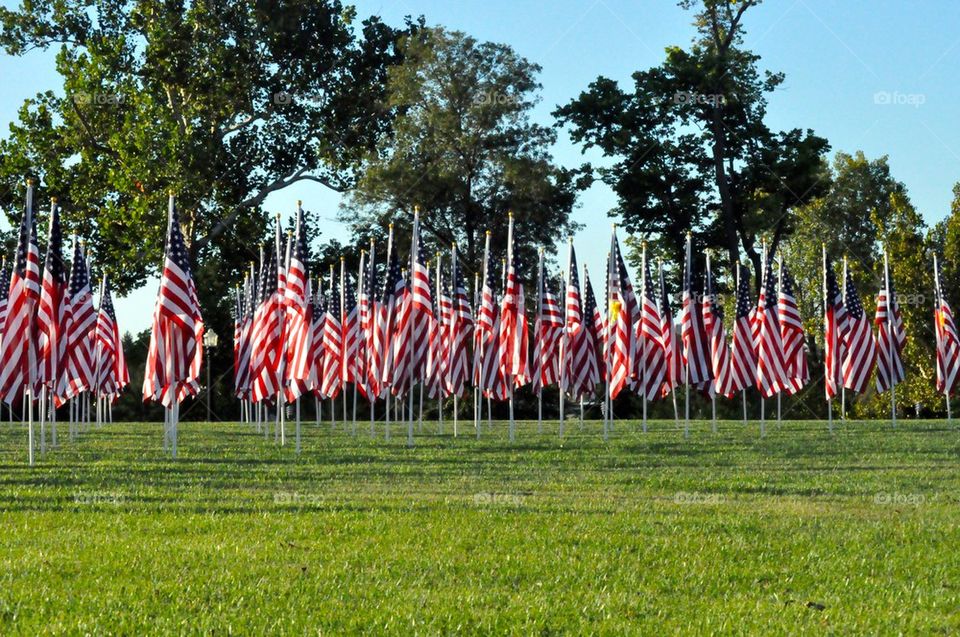 Flags