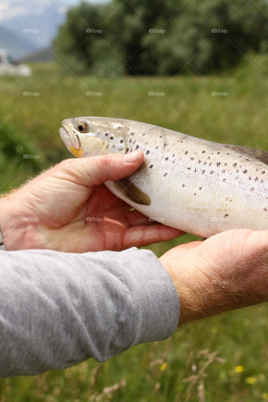 sport outdoors fish fisherman by lmtrent