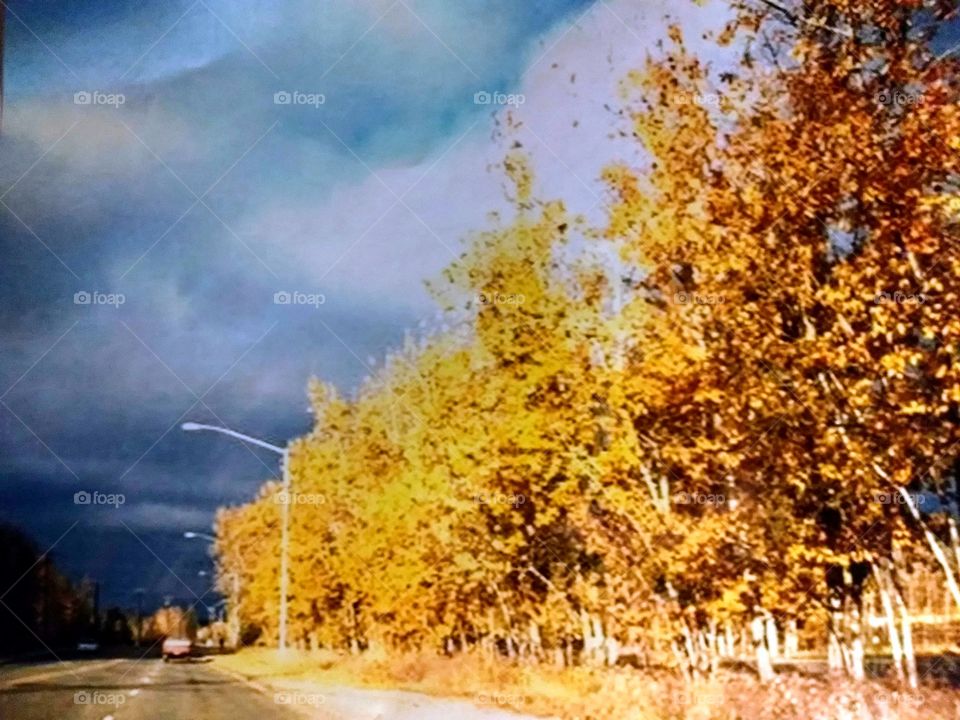 Brilliant fall colors accent dark clouds over Northern AZ.