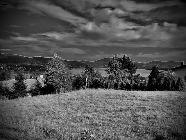 Black and white