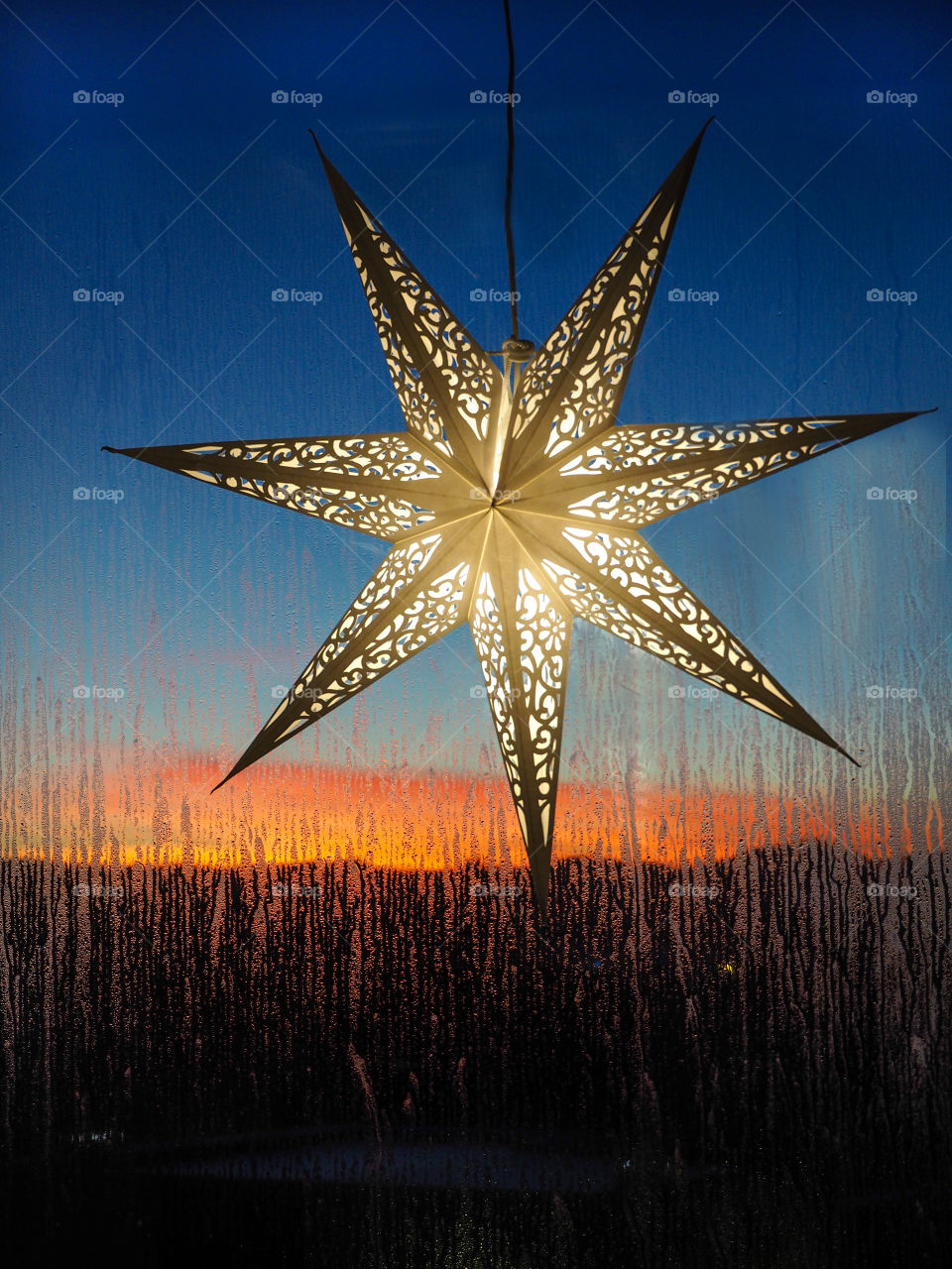  Christmas star. 