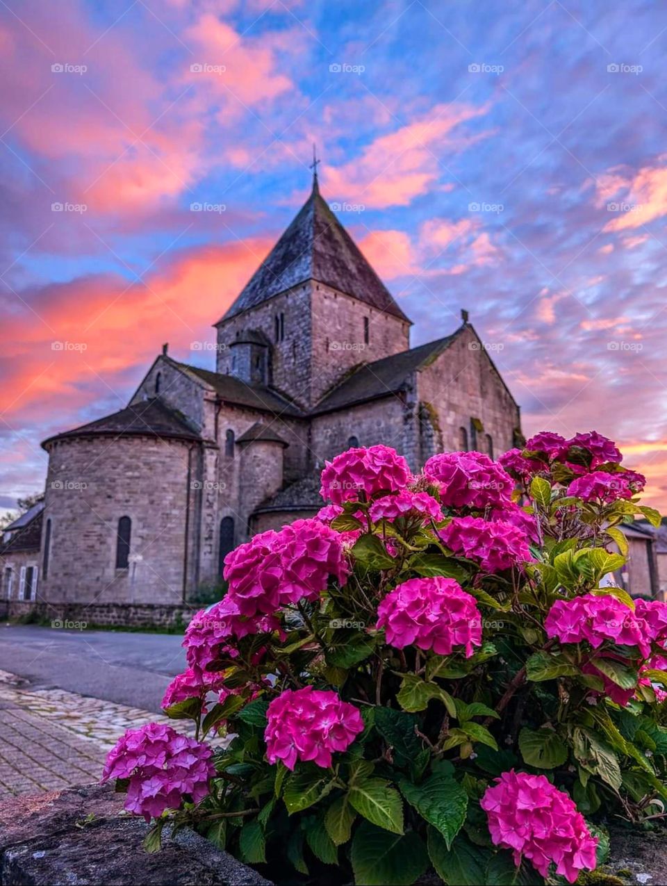 Colourful sunrise in Quimper over Locmaria church and bright pink hydrangeas