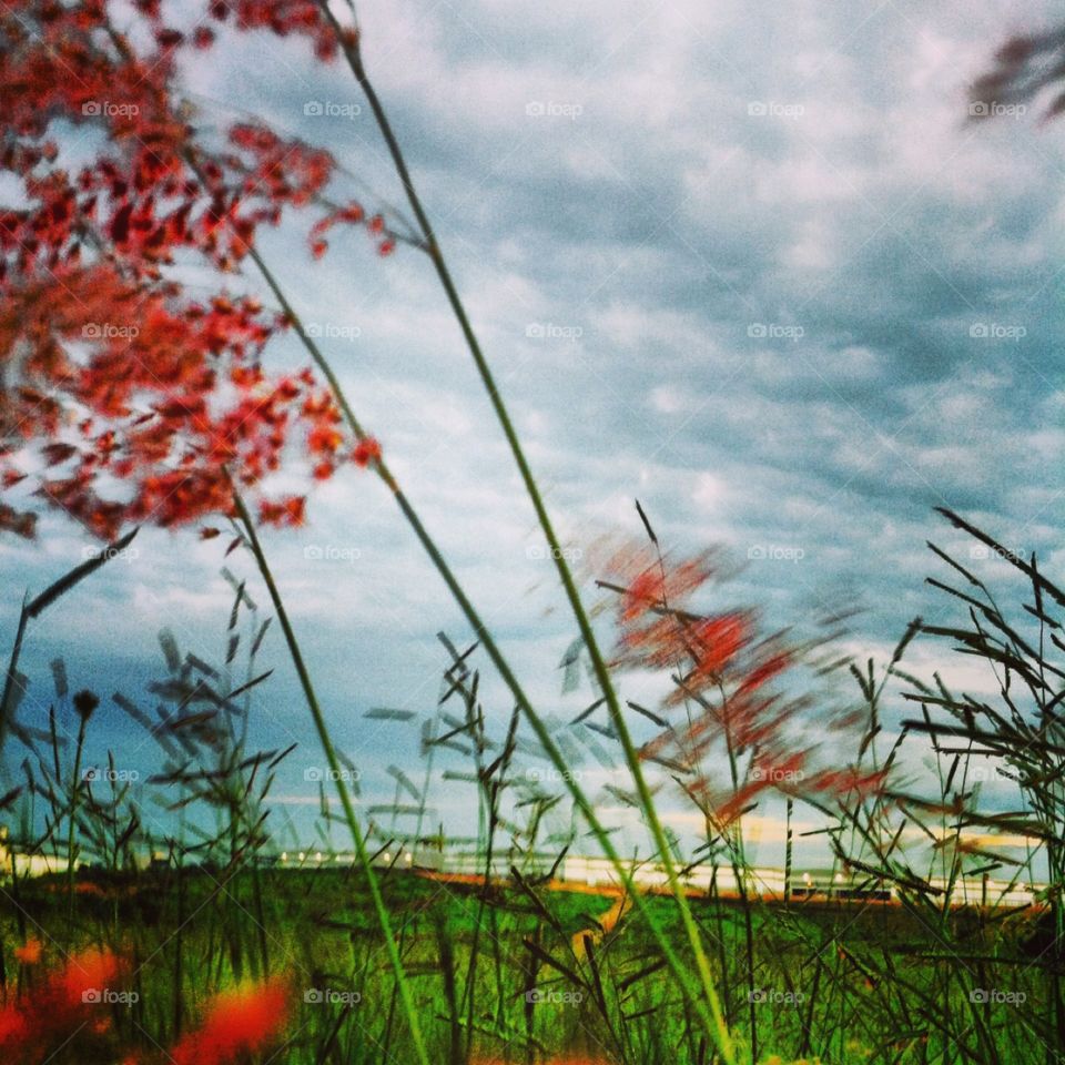 Fotografia é nosso hobby: um click da paisagem de um dia qualquer (Jundiaí / SP / Brasil).