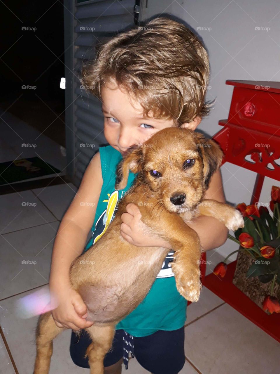 child playing with the dog