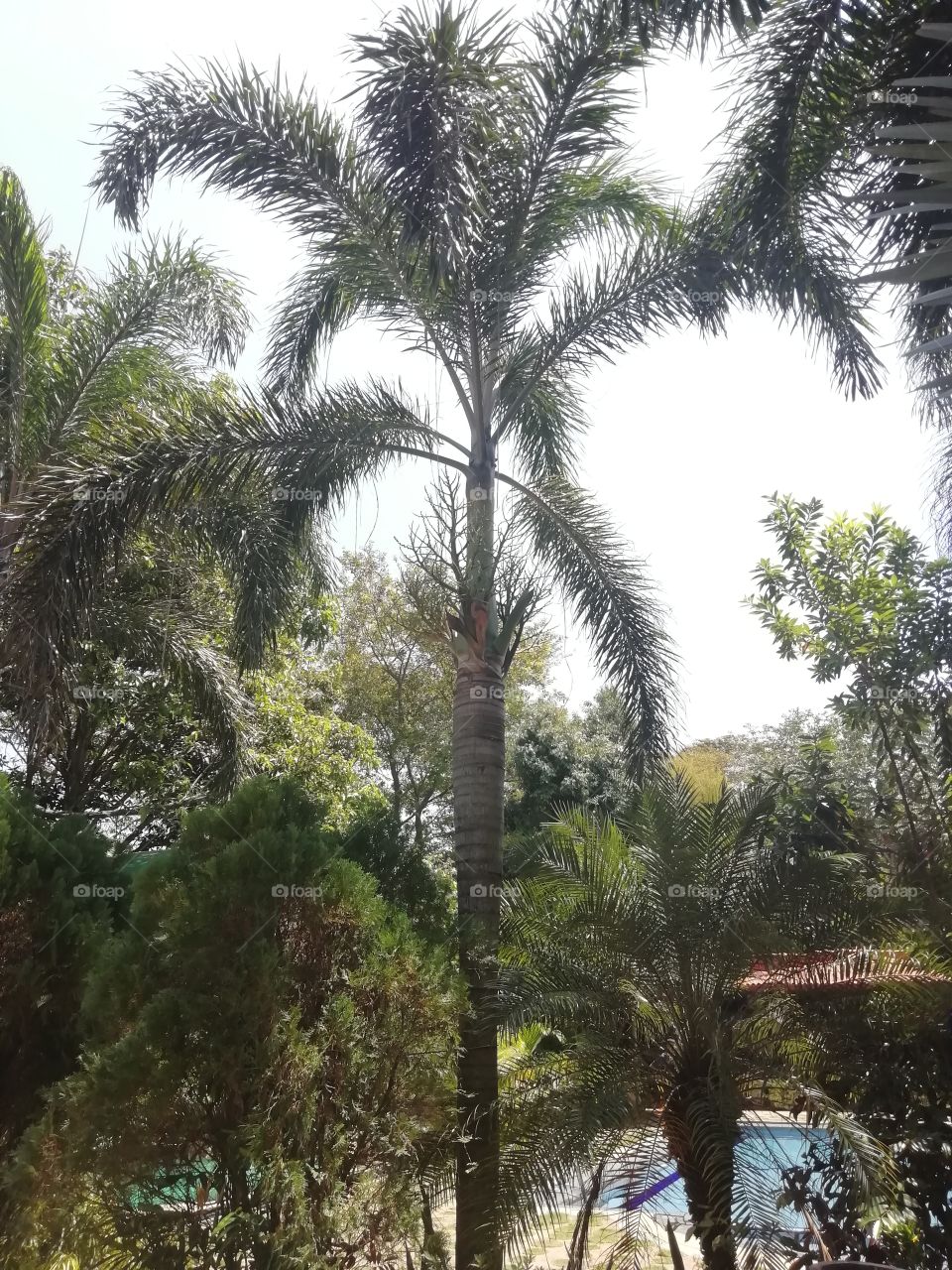 Resort surrounding . Relaxing indeed