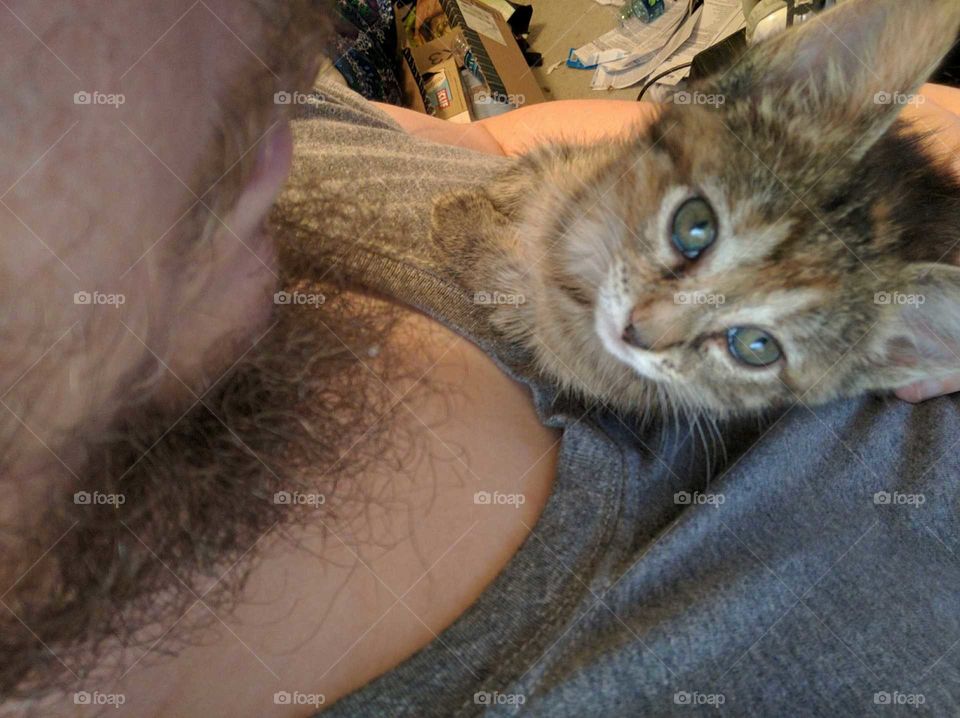 Cat hanging around my neck