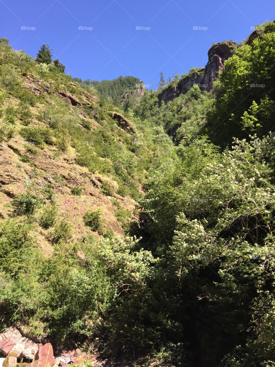 Mountain : gorge of Cians 