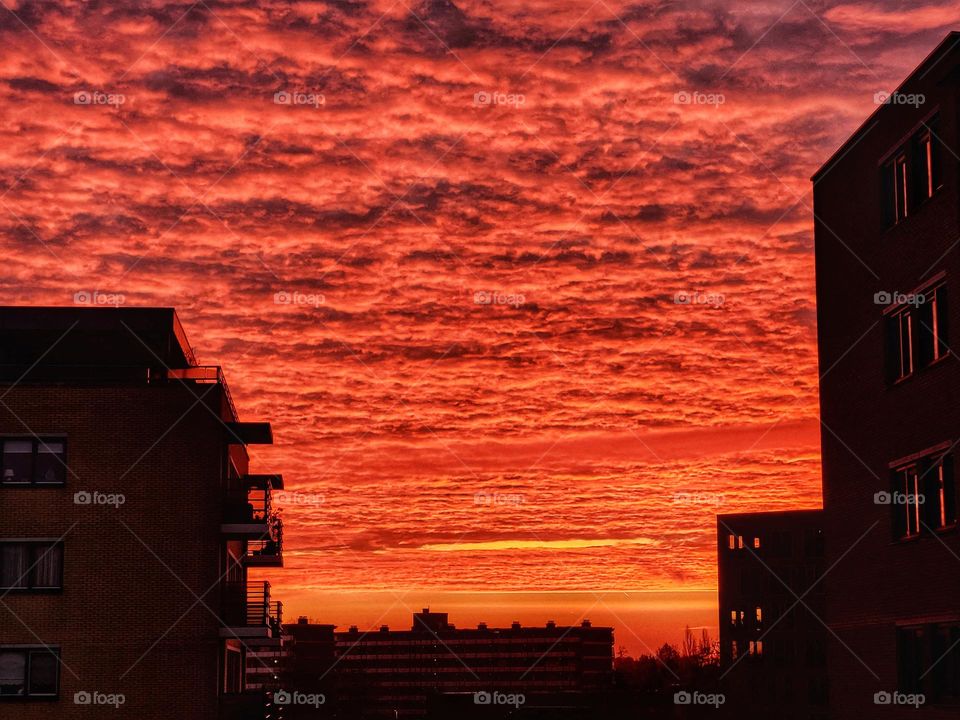 Beautiful colors in the sky in the Netherlands on 22 november in thr morning,  the sky is painting