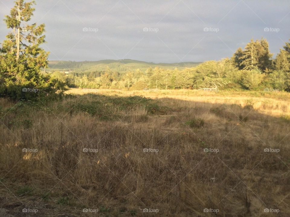 Landscape view of the mountains in the distance in Seaside, Oregon 