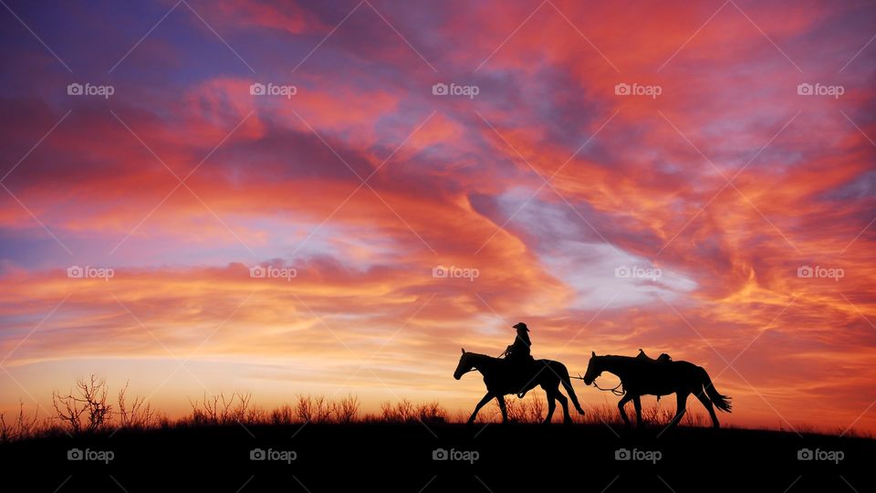 Awesome horse ride adventure