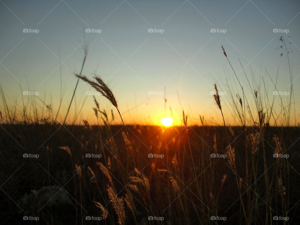 Sunset, Sun, Landscape, Sky, Nature