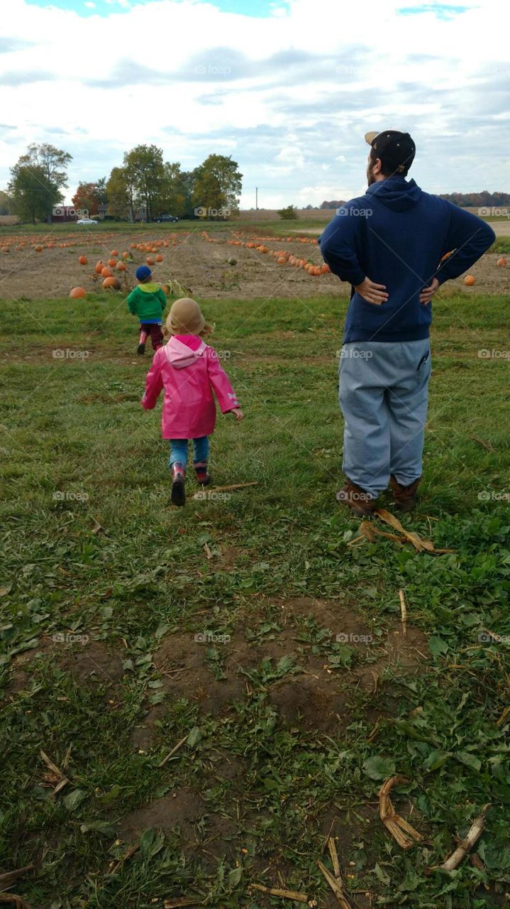 Pumpkin patch