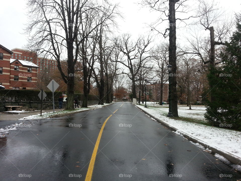 Snowy Road. First time I saw snow in years as an abroad student in NYC