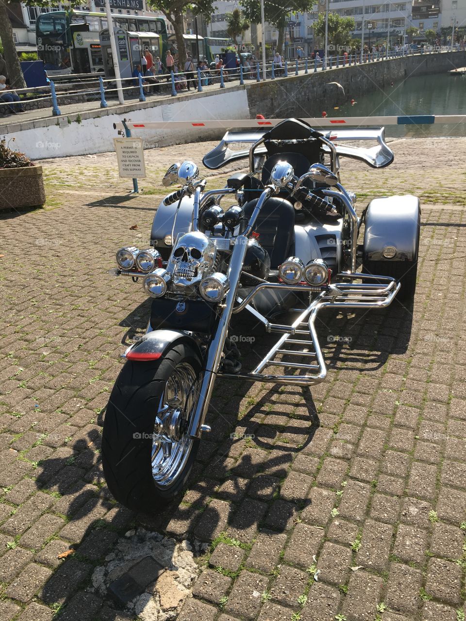 Awesome Ghost Rider inspired Trike