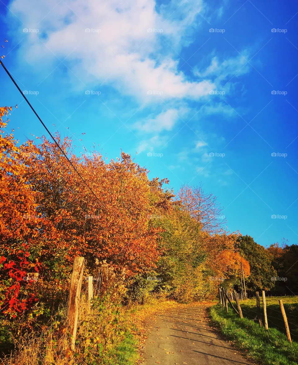 Fall