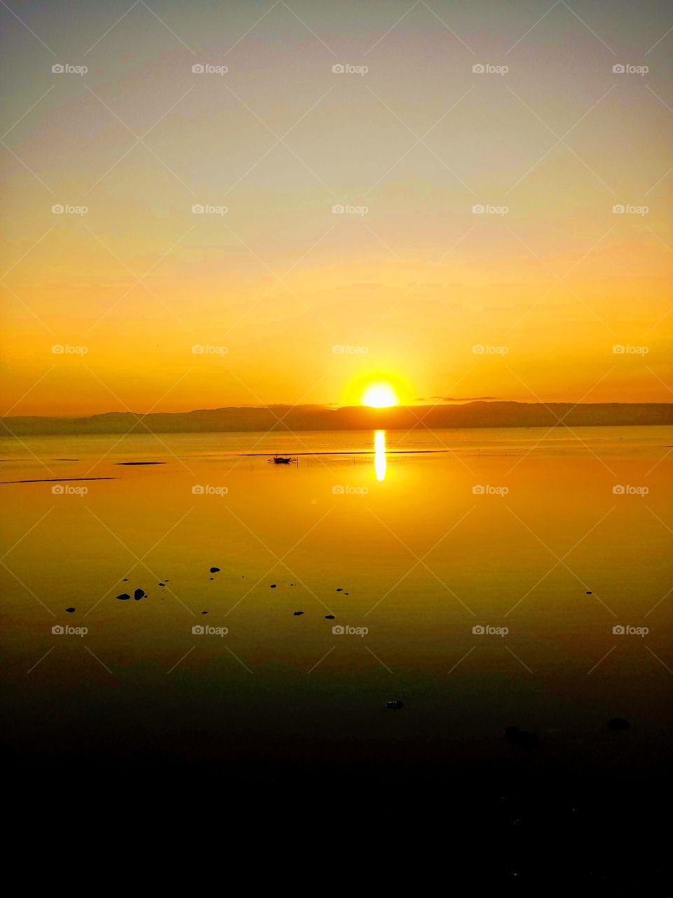 The Amazing Stillness