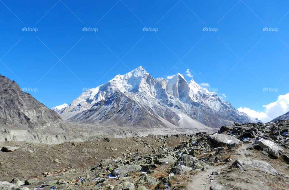 Gangotri National Park