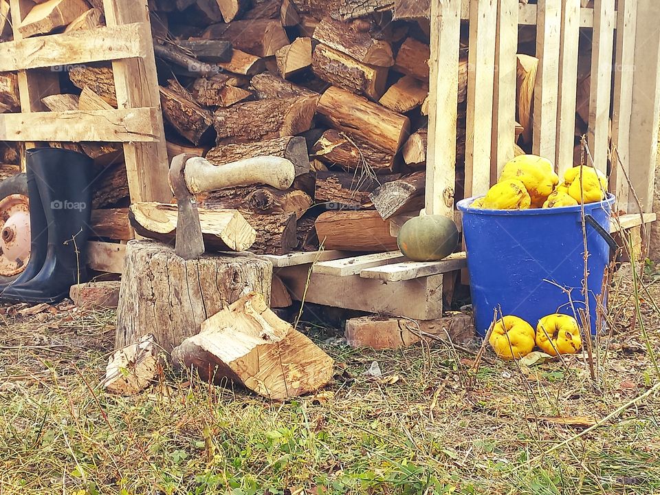 everyday life in the village, preparation for winter, firewood was cut down, the harvest of quince was harvested, and other inverter used on the farm!