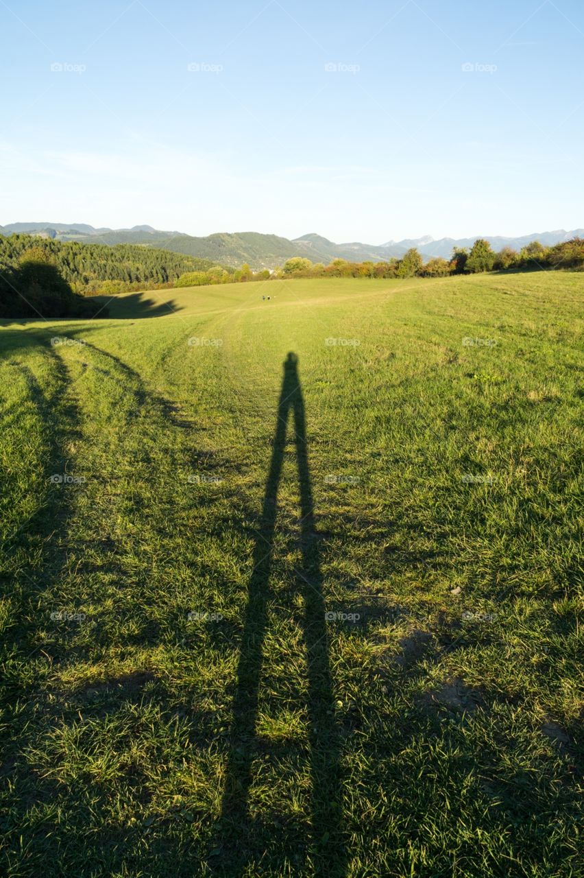 shadow of a person walking in the nature