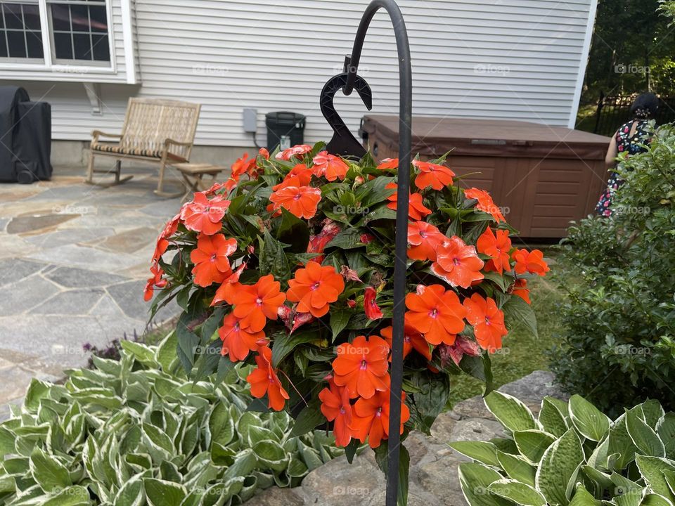 Flowers lover have a look on this beautiful bundle of joy 