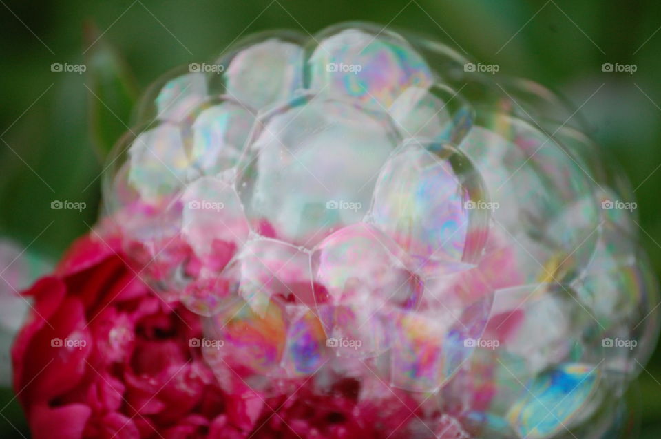bubbles