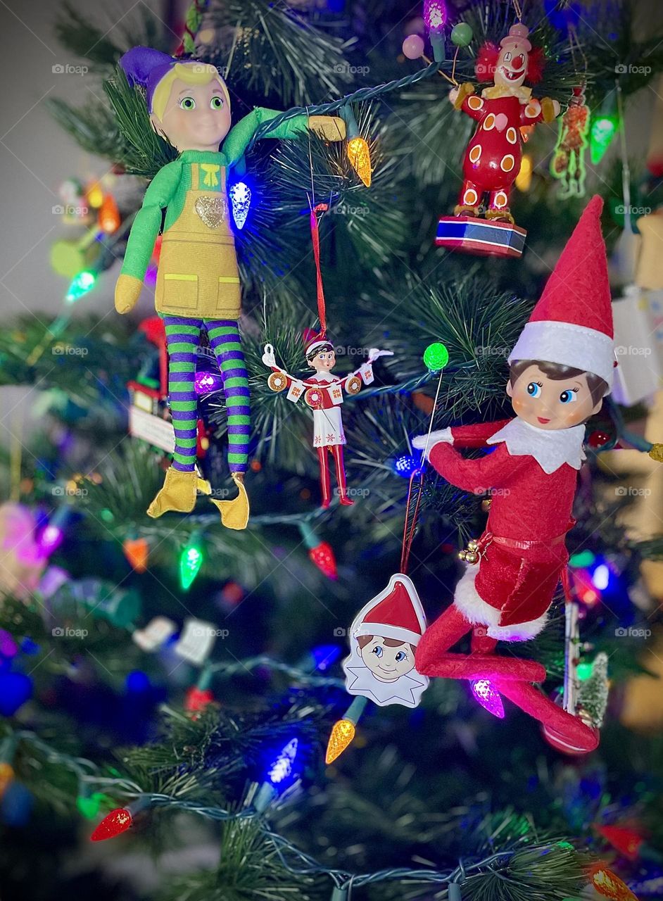 Elf on the shelf antics, elves climb into the Christmas tree, elves hang ornaments in the tree, funny elf antics, cute elf tricks