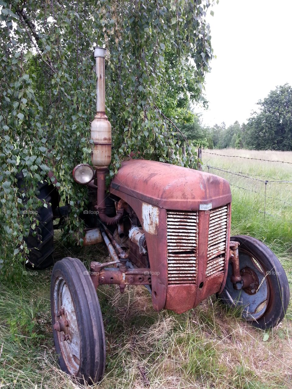 Vintage Ferguson tractor
