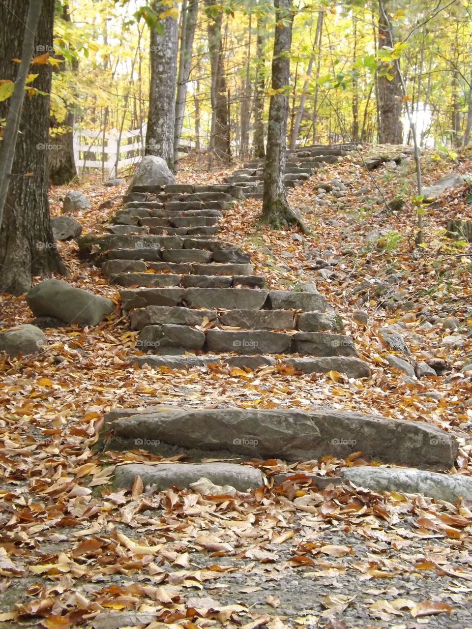 Gatineau Park stone stairs in fall