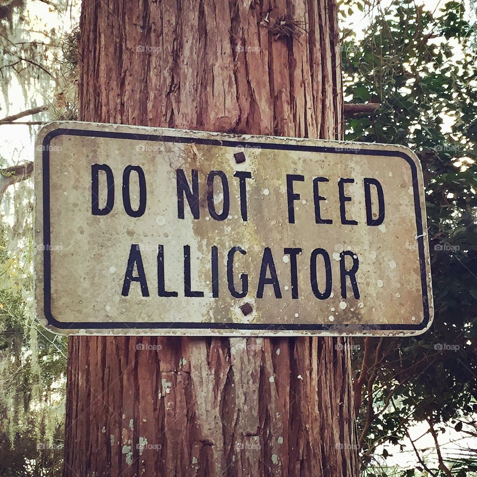 Do Not Feed Alligator Sign