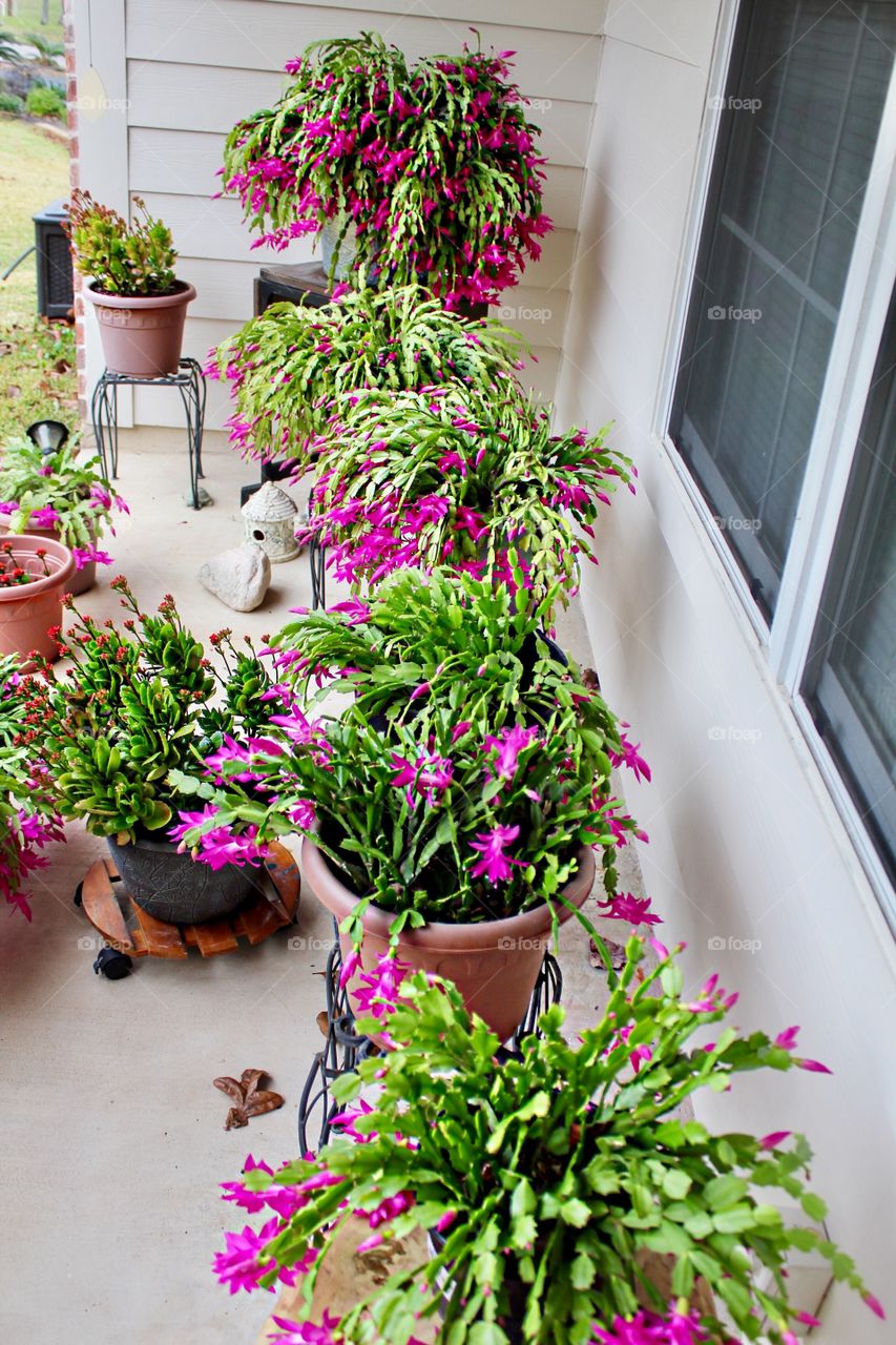 Covering a porch.