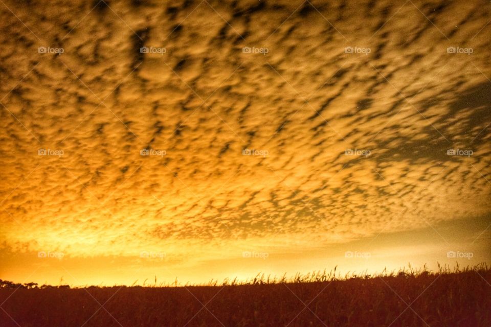 alto cumulus clouds