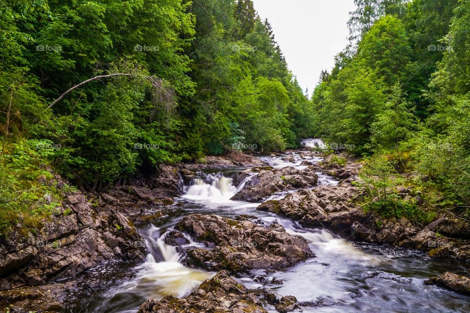 Østmarka, Norway.