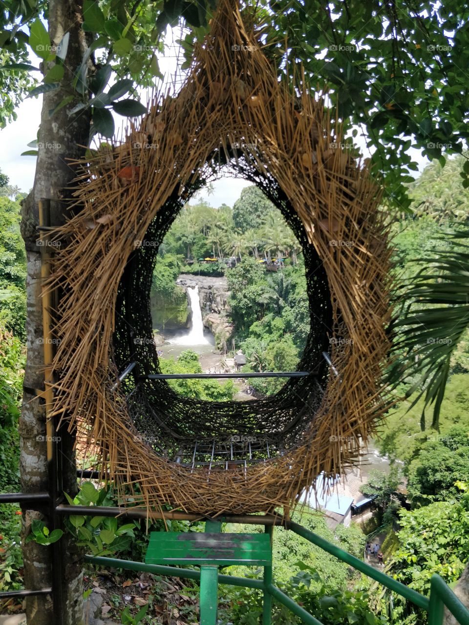 There is something infinitely healing in the repeated refrains of nature—the assurance that dawn comes after night, and spring after winter.