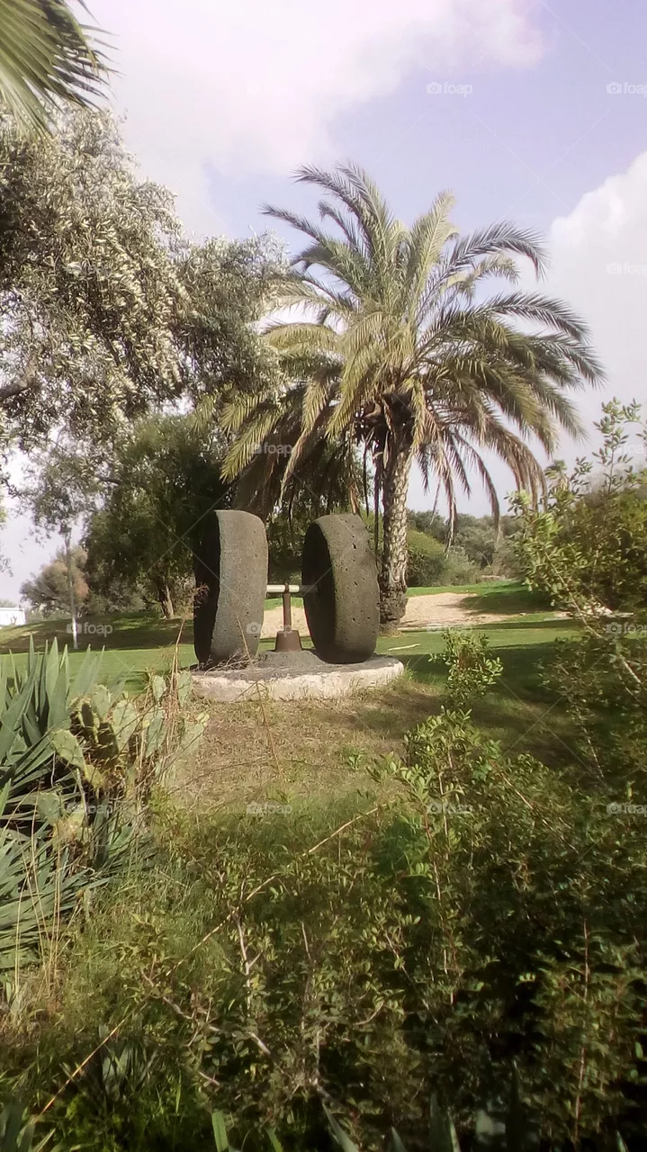 Landscape